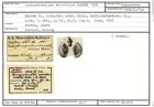 Karteikarte zum Syntyp von Quinqueloculina sclerotica Karrer, 1868